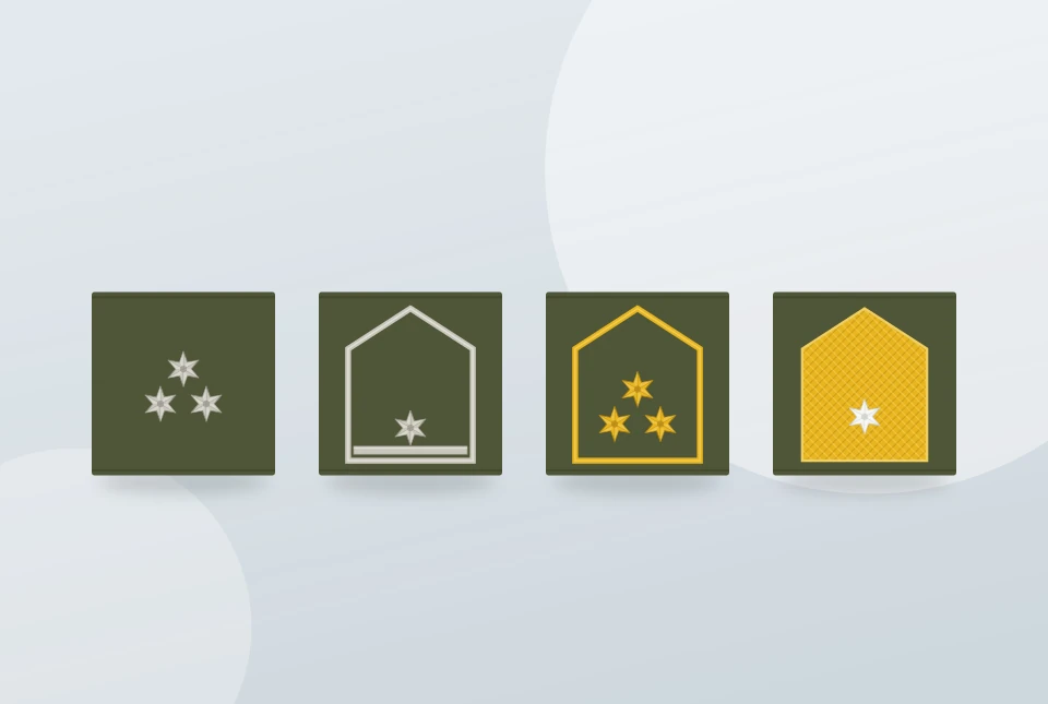 Illustration: Dienstgrade des Bundesheeres erkennen