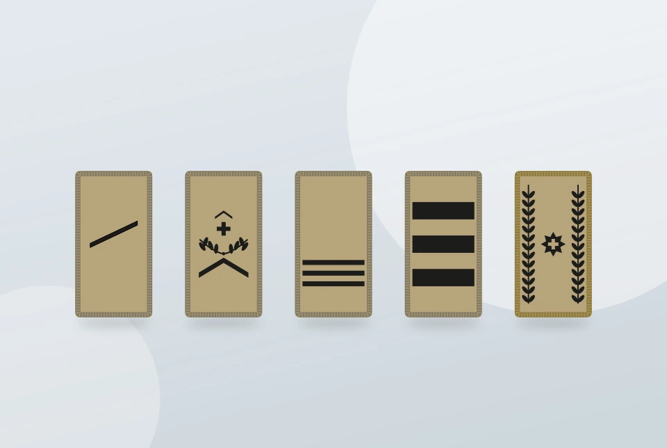 Illustration: Grade der Schweizer Armee erkennen